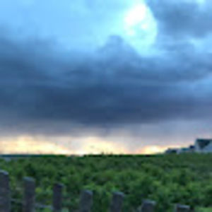 Meet your Posher, Katherine